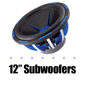 12" Subwoofer