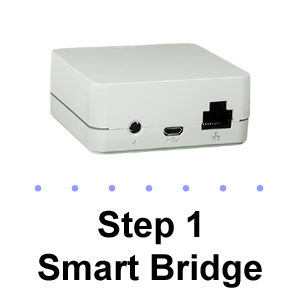 (Step 1) Smart Bridge